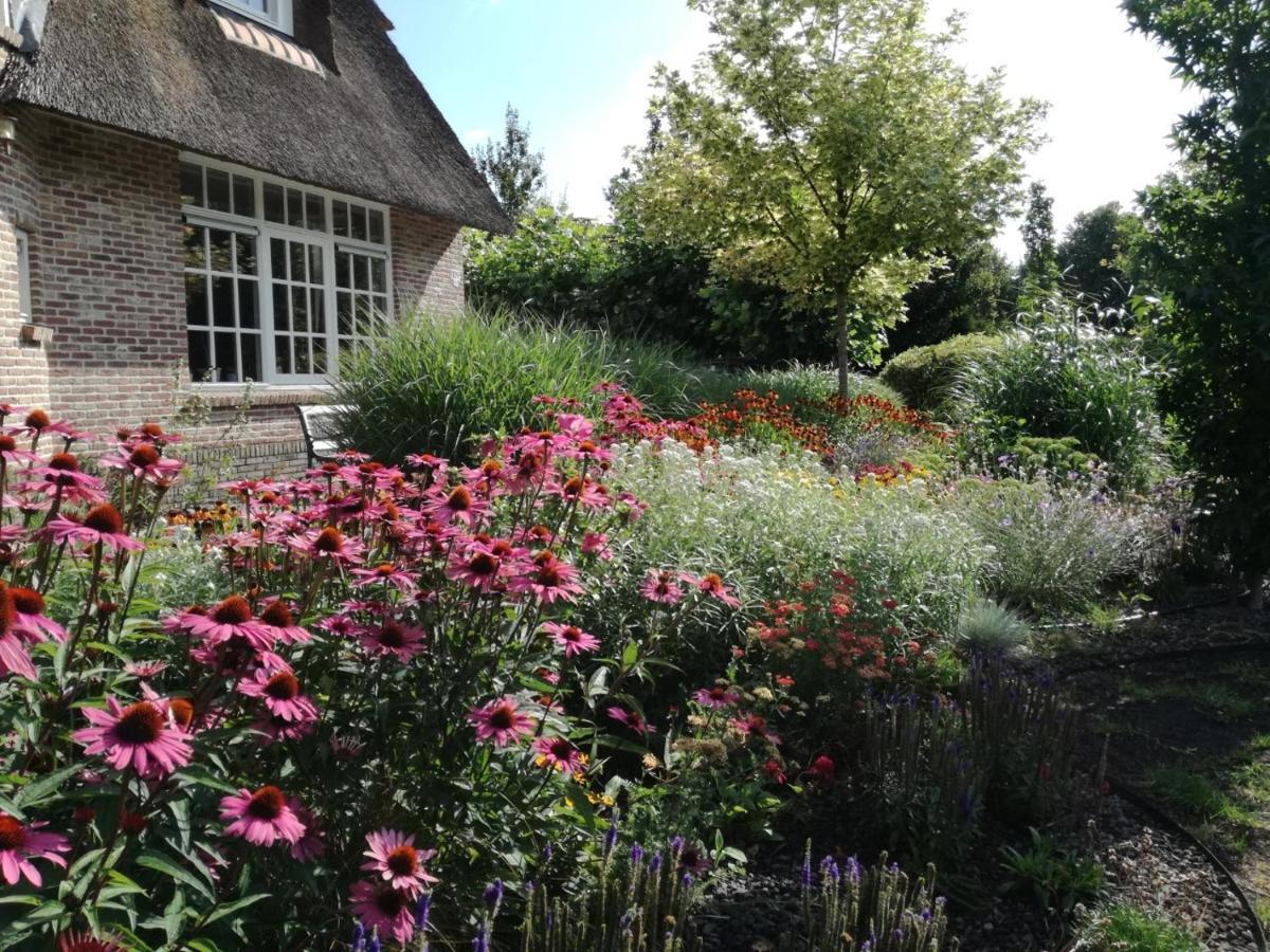 The Rose Cottage Брумен Екстериор снимка